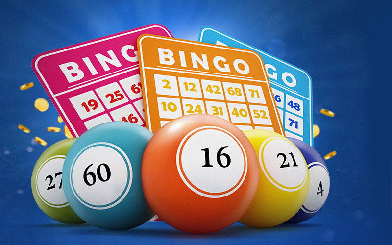 The top 7 Bingo Games Android users must Download - New Trendings